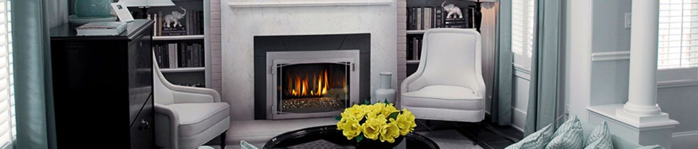 Napoleon Infrared IR3GN Fireplace