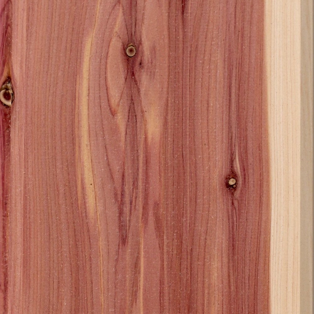 Sample of Eastern Red Cedar tree wood texture