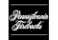 Pennsylvania Firebacks, Inc