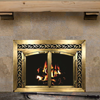 Electro Plated Fireplace Doors