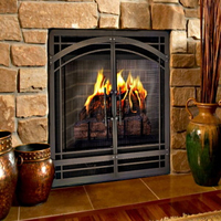 Direct Vent Fireplace Screens