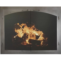 Cabinet Silhouette Fullview Elegant Masonry Fireplace Door In Brushed Grey