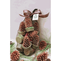 Twelve Goods of the Woods Pine Cone Fire Starters in a Mesh Bag