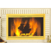 Solid Polished Brass Fireview Masonry Fireplace Door