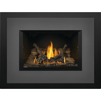 Napoleon Oakville Series 3 Glass Fireplace Insert