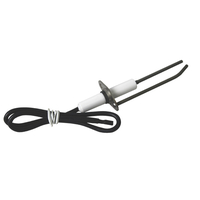4655ELECT | Ignitor Probe and Wire