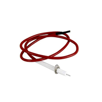PF80-3828S | Electrode