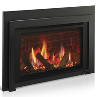 Majestic Ruby 35" Traditional Direct Vent Gas Fireplace Insert - RUBY35IN