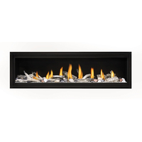 Napoleon Luxuria 62" Series Direct Vent Gas Fireplace-LVX62NX-1