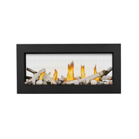 Napoleon Vector 38 Inches Series See-Through Direct Vent Gas Fireplace-LV38N2-1