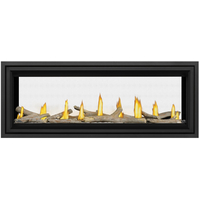 Napoleon Vector 50 Inches Series See-Through Direct Vent Gas Fireplace-LV50N2-2