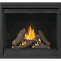 Napoleon Ascent Deep X 42 Inches Direct Vent Gas Fireplace-DX42NTRE