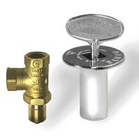 Chrome gas valve kit