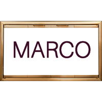 Marco Fireplace Door
