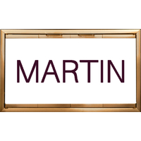 Martin Fireplace Door