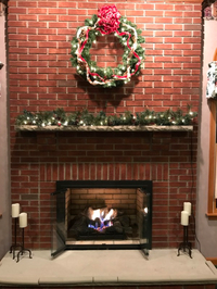 Savannah Masonry Fireplace Door