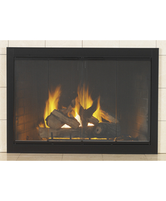 Satin Black Fireview Masonry Fireplace Door