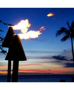 Black Cone Automated Tiki Torch Kit
