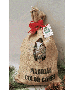 Goods of the Woods Color Cones 2 Pound Burlap Bag