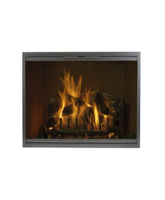 Aspect Masonry Fireplace Door