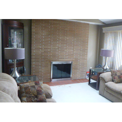 Brushed Nickel Fireview Masonry Fireplace Door