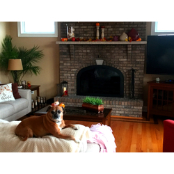 Customer installed Cascade Bar ArchedIron Fireplac