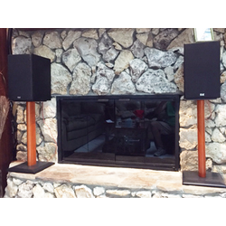 Stiletto Fireplace Door