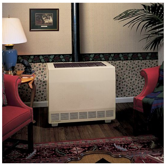 RH65 Closed Front Room Heaters