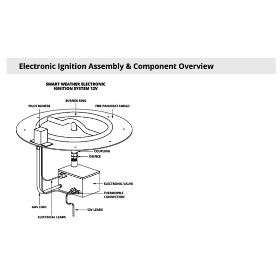 Electronic Ignition Assembly and Component