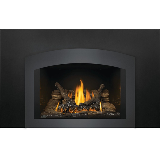 Napoleon Oakville Series 3 Glass Direct Vent Gas Fireplace Insert with faceplate (optional)