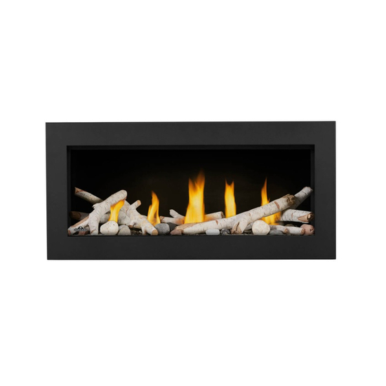 Napoleon Vector 38 Inches Series Direct Vent Gas Fireplace-LV38N-1