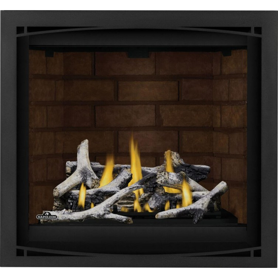 Napoleon Altitude X Series-AX36NTE-Direct Vent Gas Fireplace with New Port Panel and Birch Log Kit