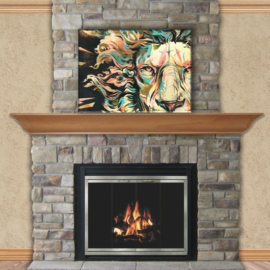 Shiloh Zero Clearance Fireplace Door in Burnished Bronze