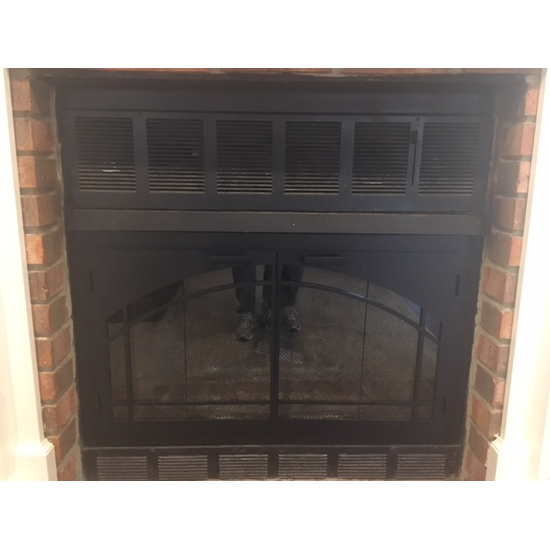 Customer installed Carolina Arch Conversion ZC Fireplace Door!