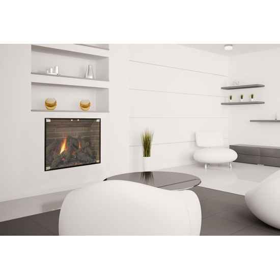 The Vanguard Fireplace Door gives a contemporary look to your masonry fireplace.