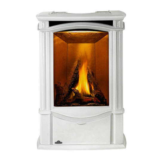Castlemore direct vent gas stove shown in Winter Frost porcelain enamel finish