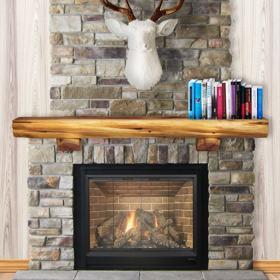 Huntress ZC Fireplace Door