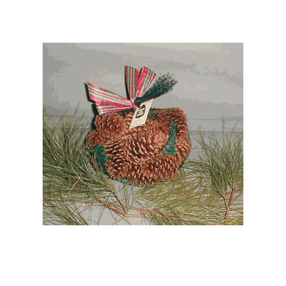 Goods of the Woods Pine Scented Cones in Bag