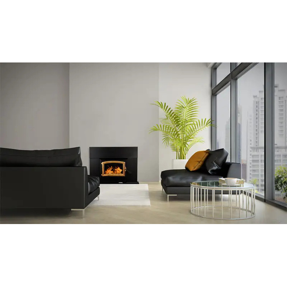 Buck Stove Model 21 Non-Catalytic Wood Insert with Gold Door and Trim Kit Installed