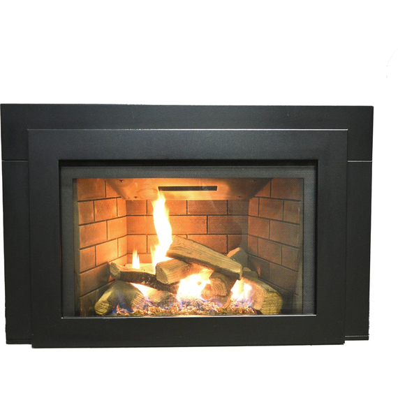 Sierra Flame Abbot 30" Direct Vent Insert Gas Fireplace