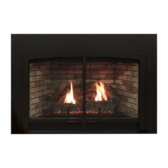 White Mountain Hearth Innsbrook Medium Clean-Face Direct Vent Gas Fireplace Insert - DVC26INxxx