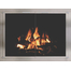 Brushed Stainless Steel Fireplace Door