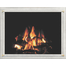 Traditional Brushed White Fixed Pane Masonry Fireplace Door For One Side Of See-Thru Fireplace