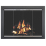 Belvedere Masonry Fireplace Door Shown in Black Finish & Brite Nickel Doors