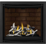 Napoleon Altitude X Series-AX36NTE-Direct Vent Gas Fireplace with New Port Panel and Birch Log Kit