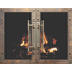 Ancient Masonry Fireplace Door in Vintage Copper with exclusive Architectural handles