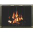 Appalachian Masonry Fireplace Door in Matte Black with satin brass trim