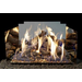 Real Fyre Contemporary Fyreback in Polished Stainless Steel