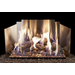 Real Fyre Contemporary Fyreback in Satin Stainless Steel