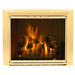 Polished Brass Sunlight Fixed Size Masonry Fireplace Door
